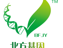 享受刺激的乐趣！在线荷官带您畅游赌场世界