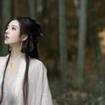 探索澳门贵宾厅平台的奢华体验与娱乐魅力